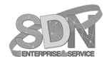 SDN enterprise